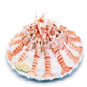 【生鲜包邮速递】新西兰南极小龙虾3号 每箱2KG 