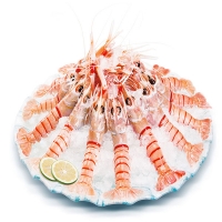 【生鲜包邮速递】新西兰南极小龙虾3号 每箱2KG 