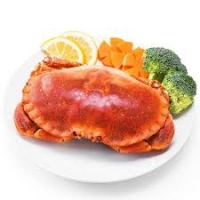 【生鲜包邮速递】面包蟹两只 每只600-800克 