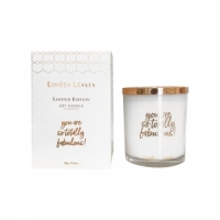 Linden Leaves 圣诞限量版香薰蜡烛 300g -香橘味（fabulous）