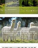 【一件包邮】Ellis Fibre 100%新西兰原产羊驼被 超大双人四季被 220x240 (King)