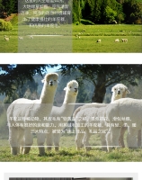 【国内现货*一件包邮】Ellis Fibre 100%新西兰原产羊驼被 单人四季被 150x200 (single)