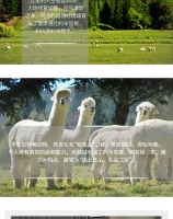 【国内现货*一件包邮】Ellis Fibre 100%新西兰原产羊驼被 双人被 200x230(Queen)