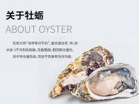 Health Life 牡蛎加锌高含量精华 90粒 参考效期26.12