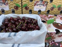 【生鲜包邮速递】WVF维多利亚州樱花车厘子 28-30mm2kg